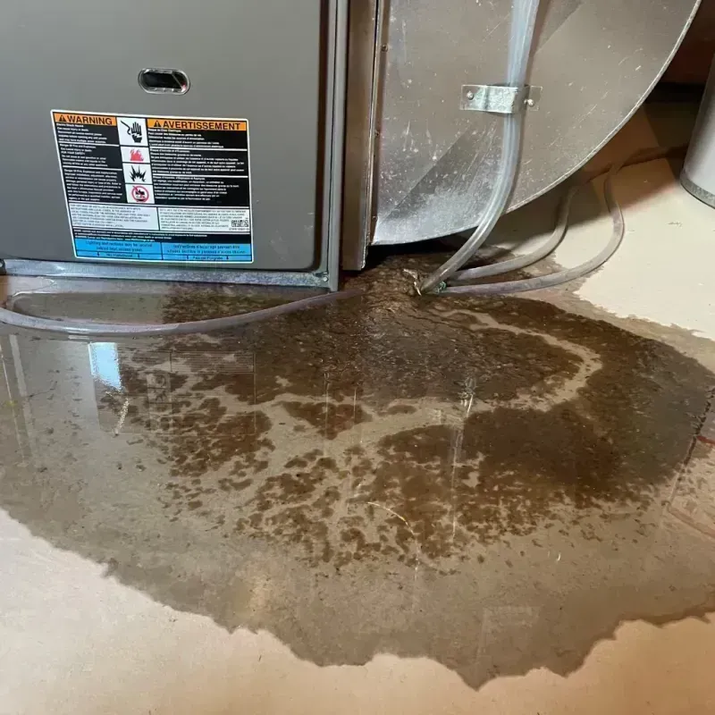 Appliance Leak Cleanup in Penobscot, ME